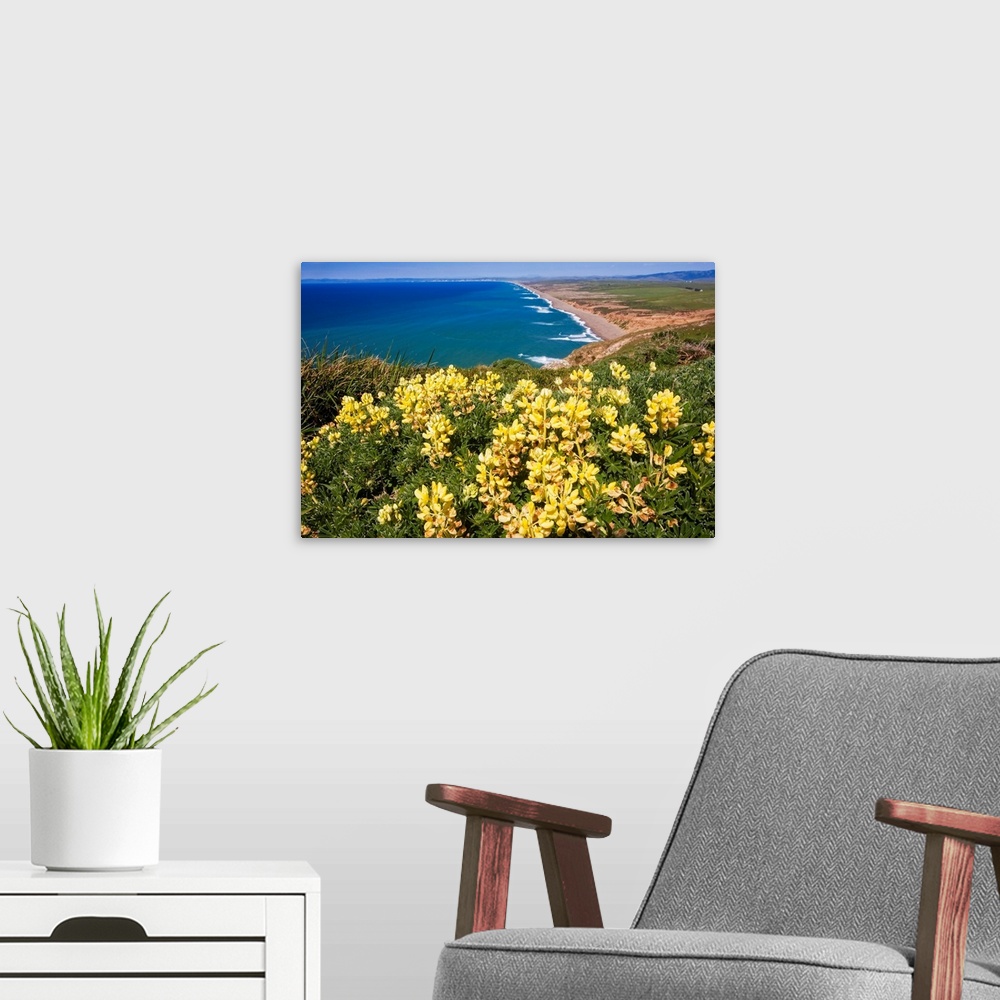 A modern room featuring Scenic view of a shoreline with Yellow Wildflowers, Point Reyes National Seashore, California