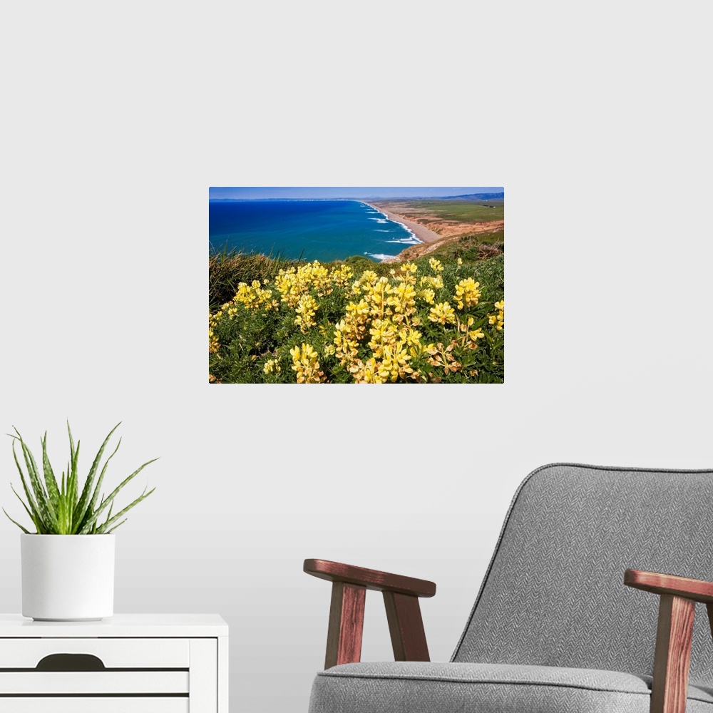A modern room featuring Scenic view of a shoreline with Yellow Wildflowers, Point Reyes National Seashore, California