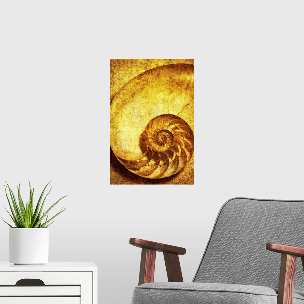 A modern room featuring A contemporary close-up of a nautilus shell rendered in textured pure gold effect.