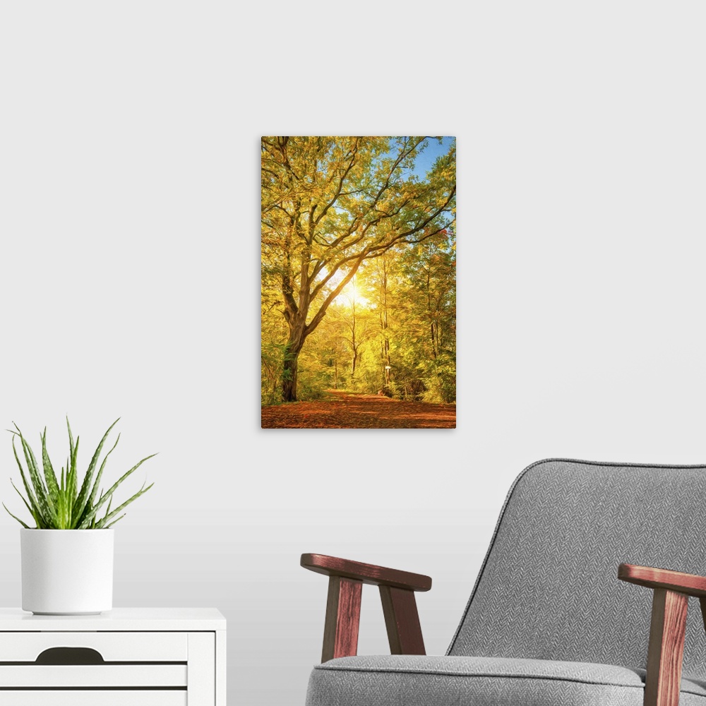 A modern room featuring Photo Expressionism - The sun passes through a forest in autumn.