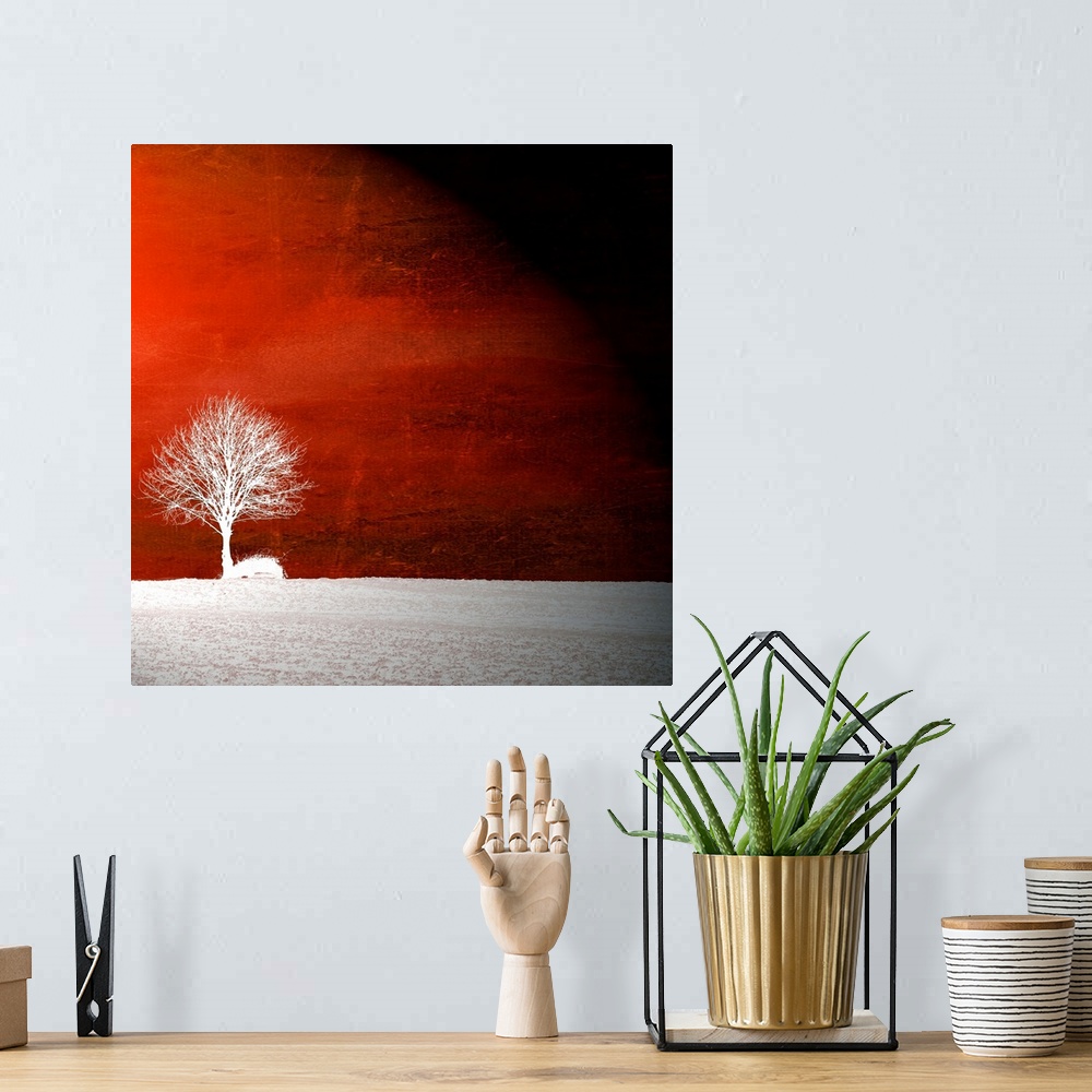 A bohemian room featuring This square wall art is the silhouette of a tree in a field superimposed on an abstract textured ...
