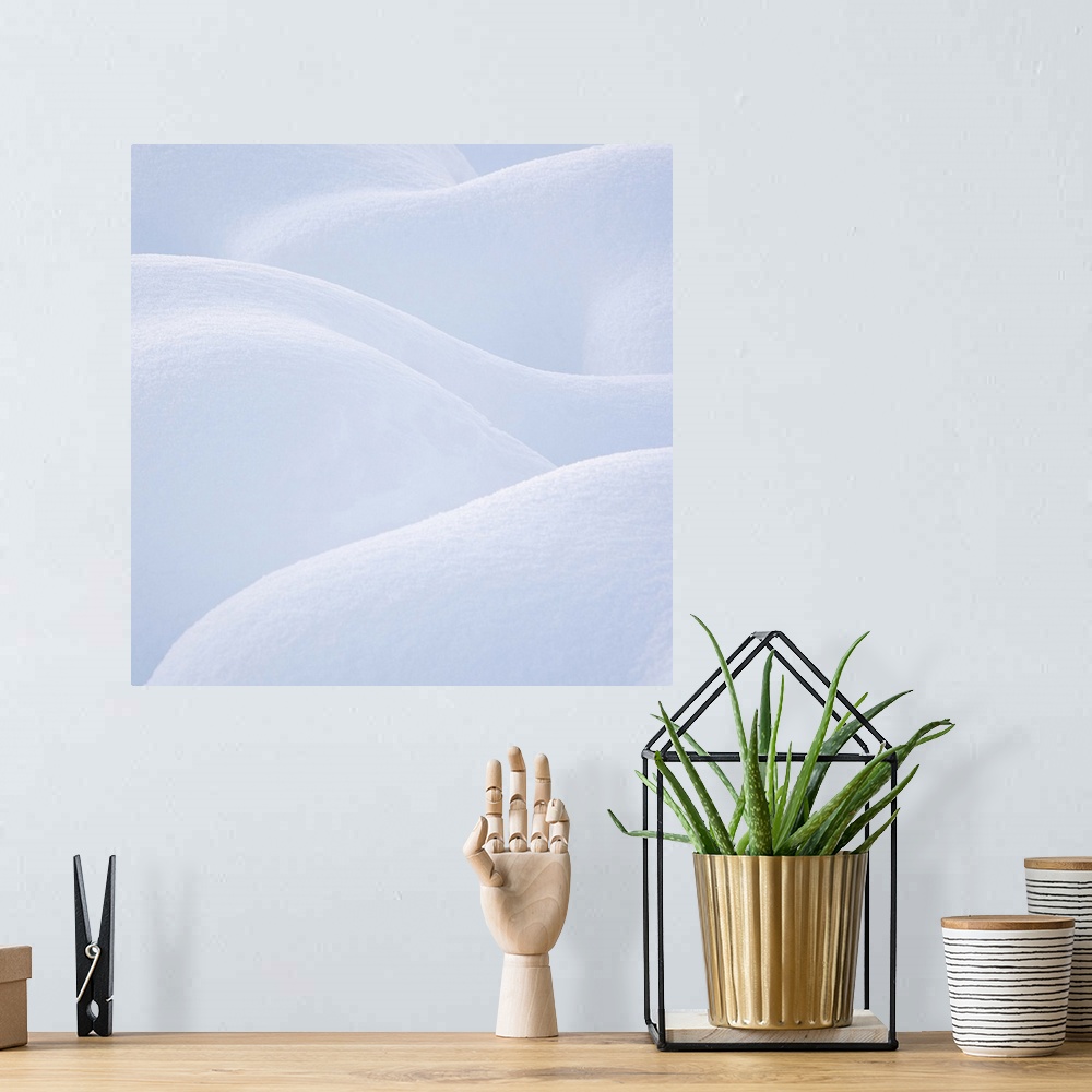 A bohemian room featuring A natural abstract of curving forms in newly fallen snow.