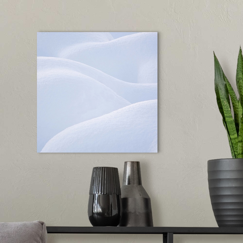 A modern room featuring A natural abstract of curving forms in newly fallen snow.