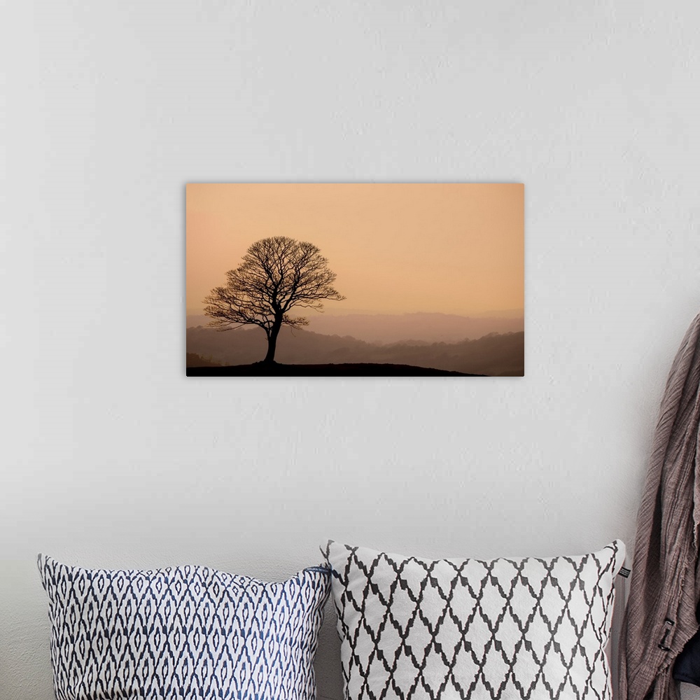 A bohemian room featuring A photograph of a silhouetted bare branched tree standing lone against a hazy landscape background.