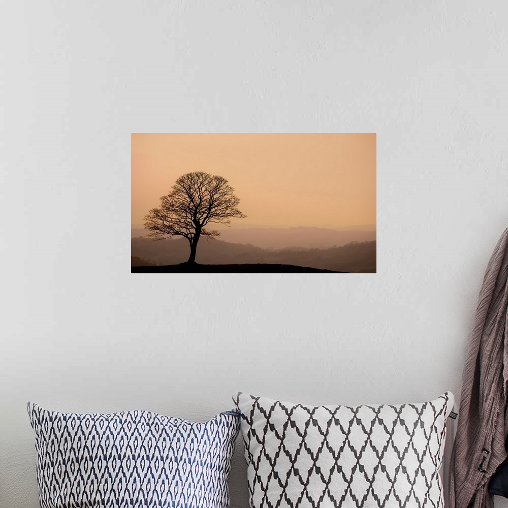 A bohemian room featuring A photograph of a silhouetted bare branched tree standing lone against a hazy landscape background.
