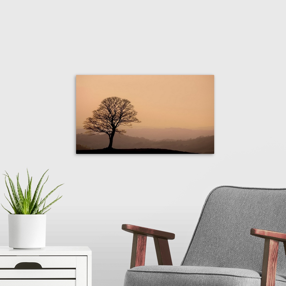 A modern room featuring A photograph of a silhouetted bare branched tree standing lone against a hazy landscape background.