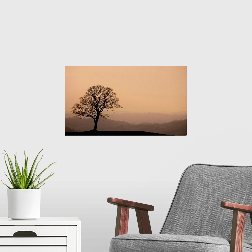 A modern room featuring A photograph of a silhouetted bare branched tree standing lone against a hazy landscape background.
