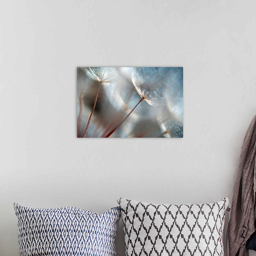 A bohemian room featuring Wall art of dandelions up close on canvas.