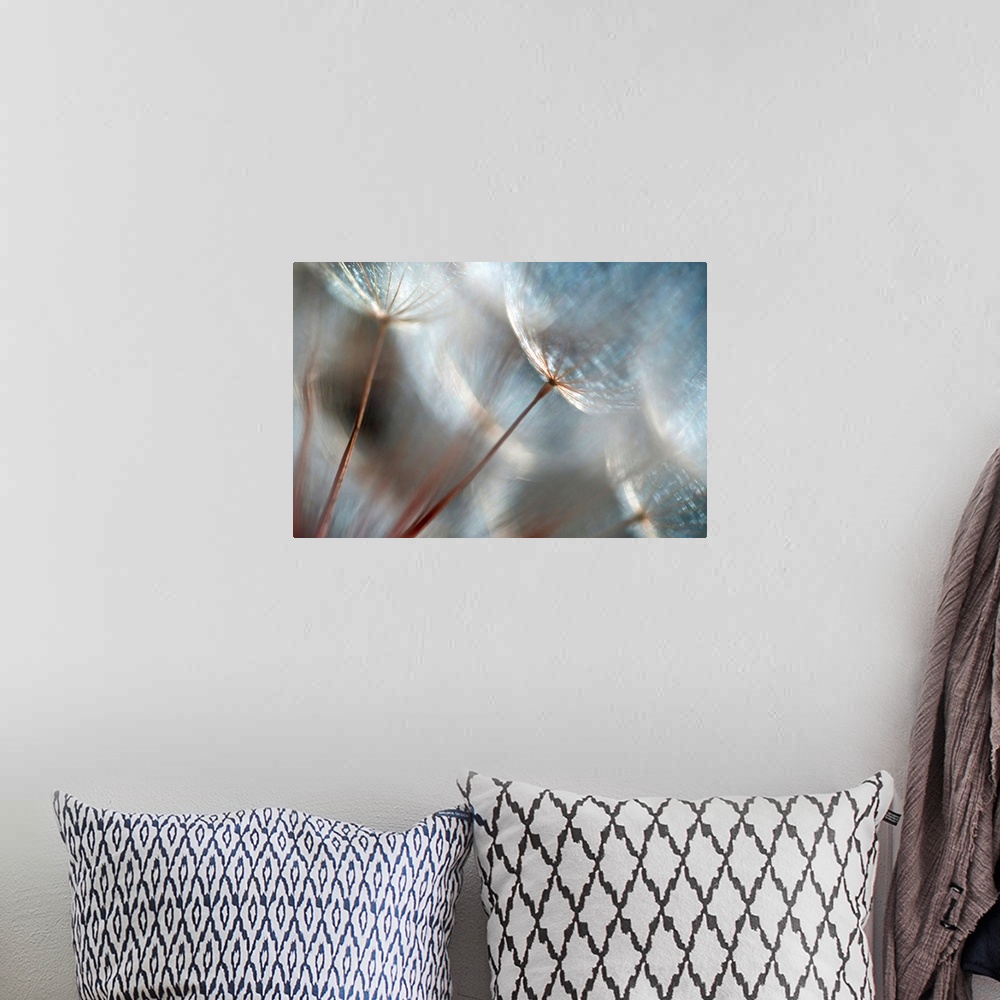 A bohemian room featuring Wall art of dandelions up close on canvas.