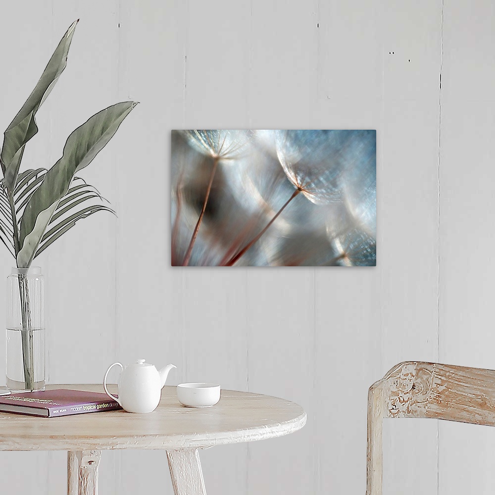 A farmhouse room featuring Wall art of dandelions up close on canvas.