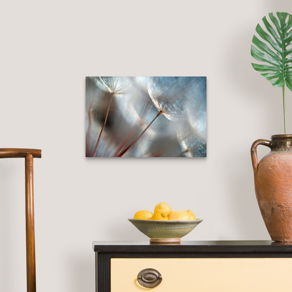 A traditional room featuring Wall art of dandelions up close on canvas.