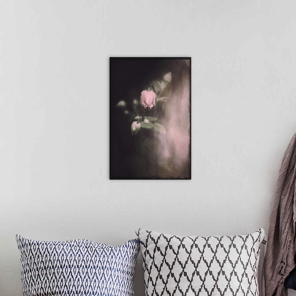 A bohemian room featuring Small rose flowers with a photo texture