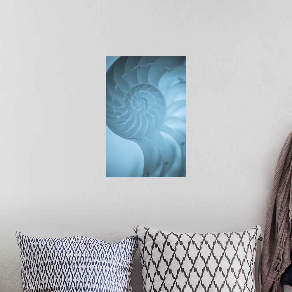 A bohemian room featuring A contemporary close-up of a nautilus shell rendered in textured cool blue.