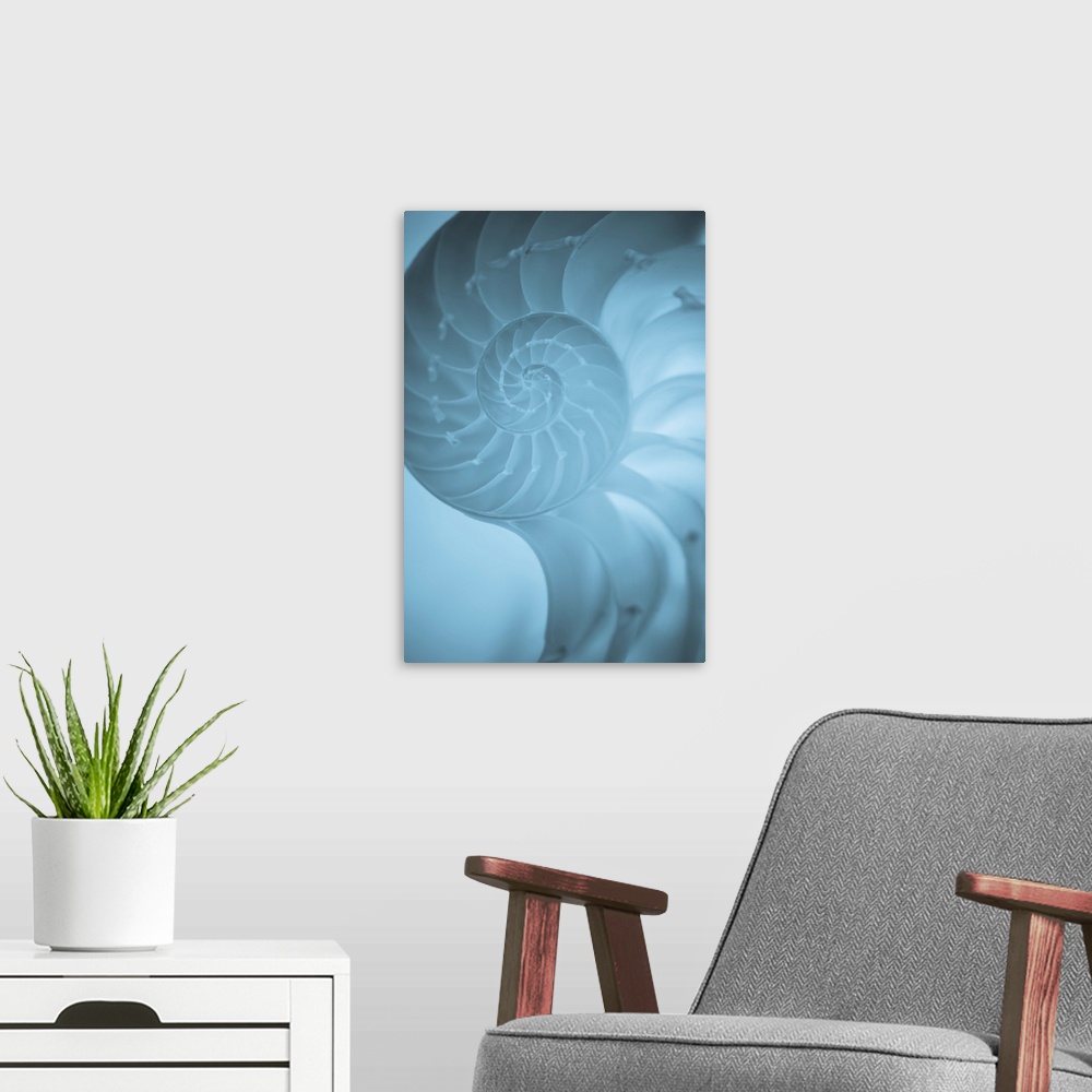 A modern room featuring A contemporary close-up of a nautilus shell rendered in textured cool blue.