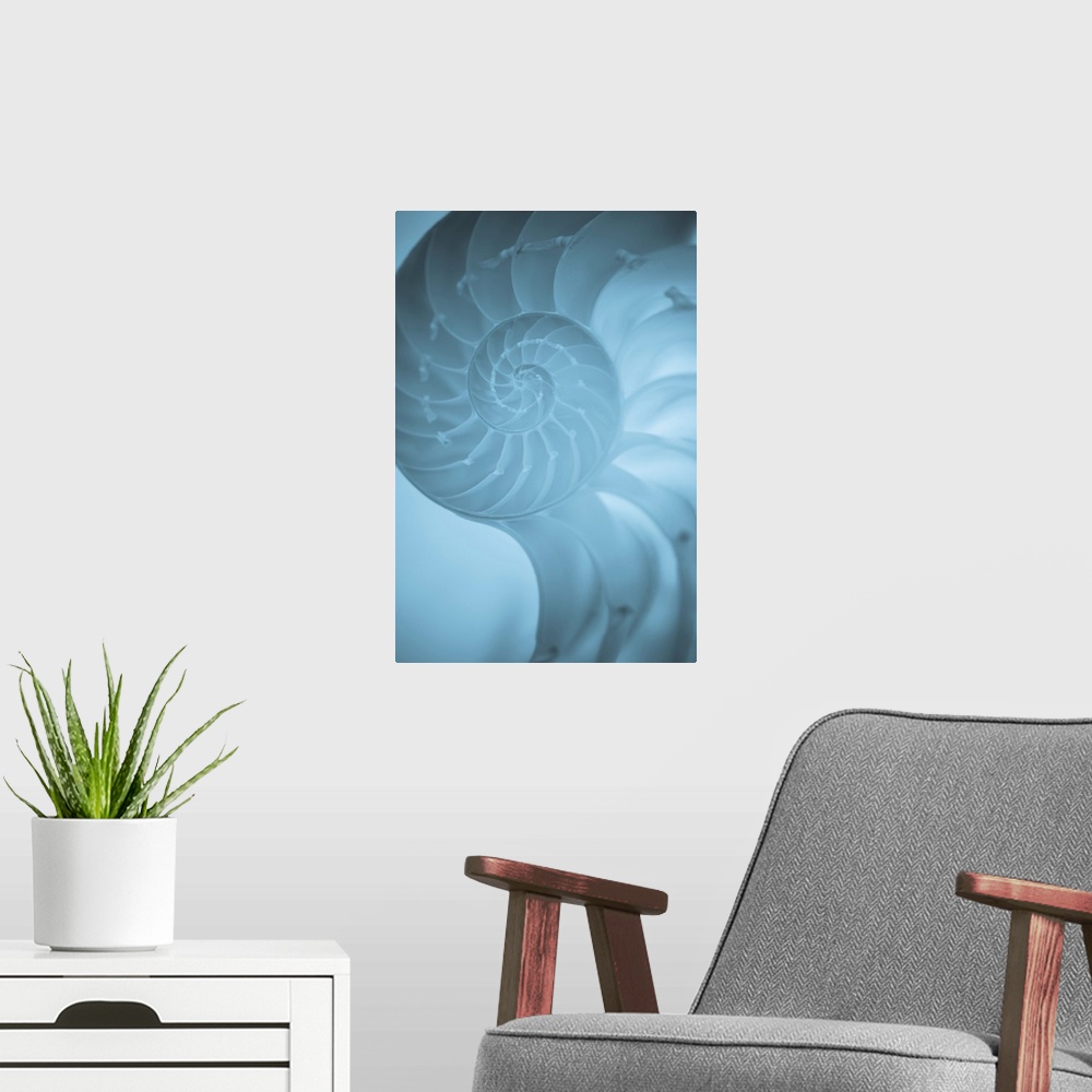 A modern room featuring A contemporary close-up of a nautilus shell rendered in textured cool blue.