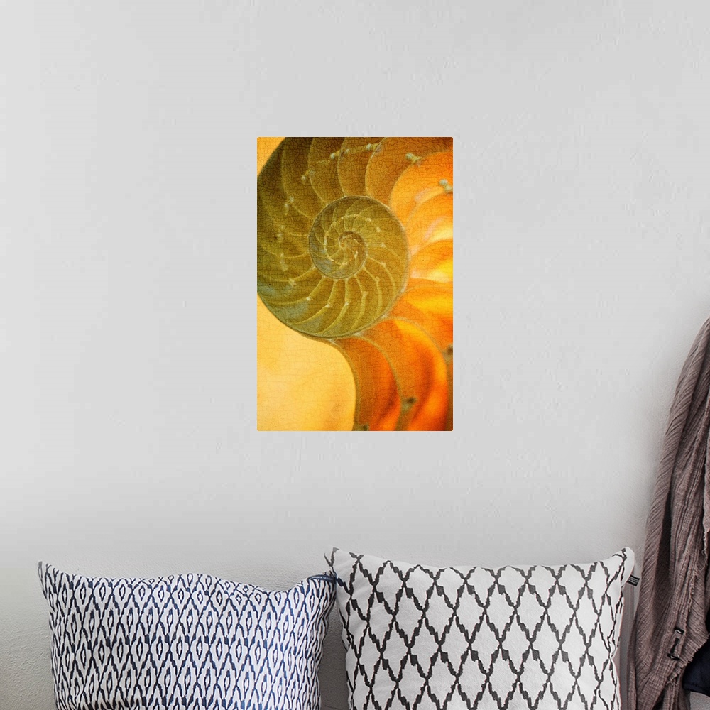 A bohemian room featuring A contemporary close-up of a nautilus shell rendered in textured vintage glowing gold effect.