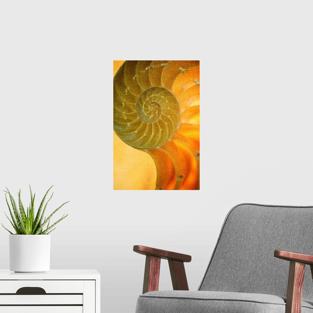 A modern room featuring A contemporary close-up of a nautilus shell rendered in textured vintage glowing gold effect.