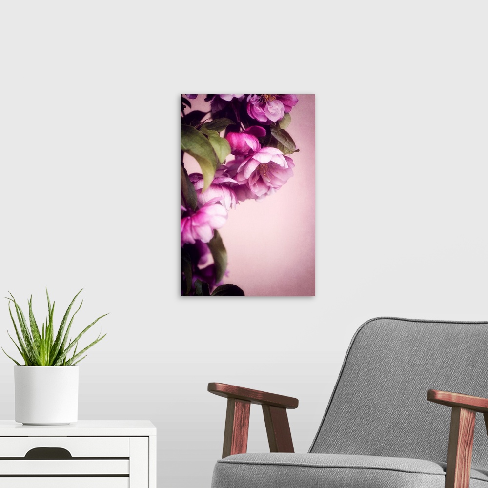 A modern room featuring Close-up cherry blossoms with photo texture