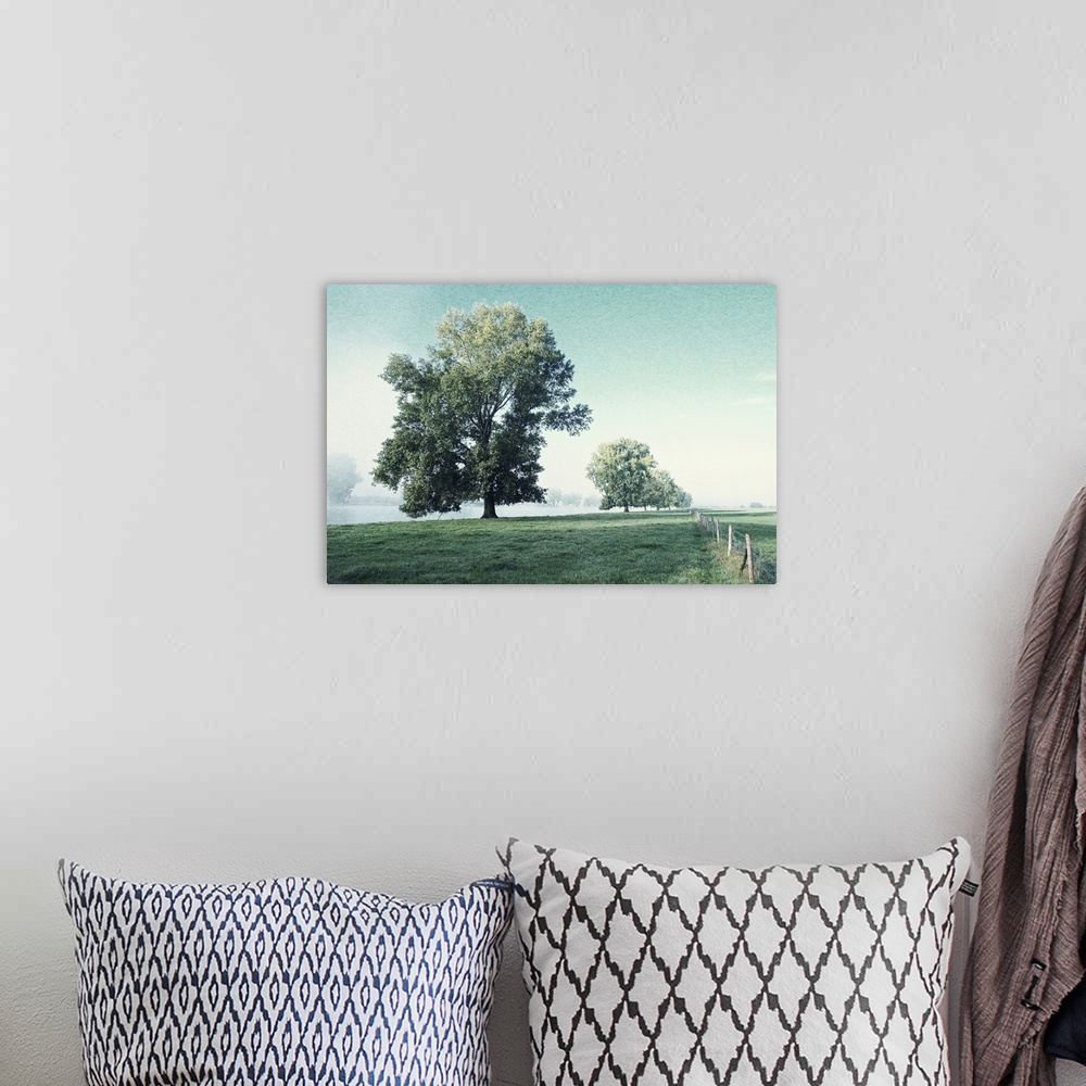 A bohemian room featuring Artistically grained photo. Early on a fresh morning on the banks of a river. The rising sun disp...