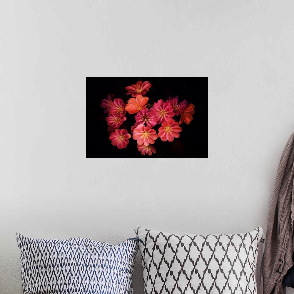A bohemian room featuring A photograph of colorful flowers against a black background.