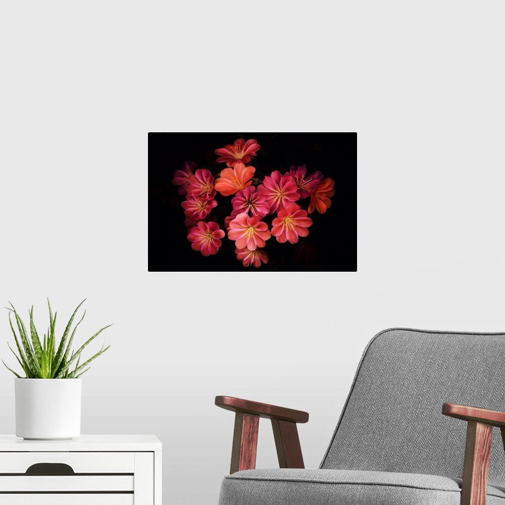 A modern room featuring A photograph of colorful flowers against a black background.