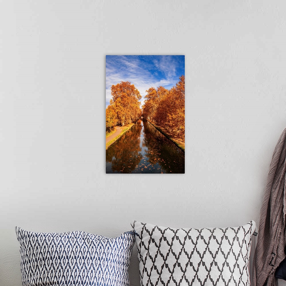 A bohemian room featuring Trees in the fall along a canal