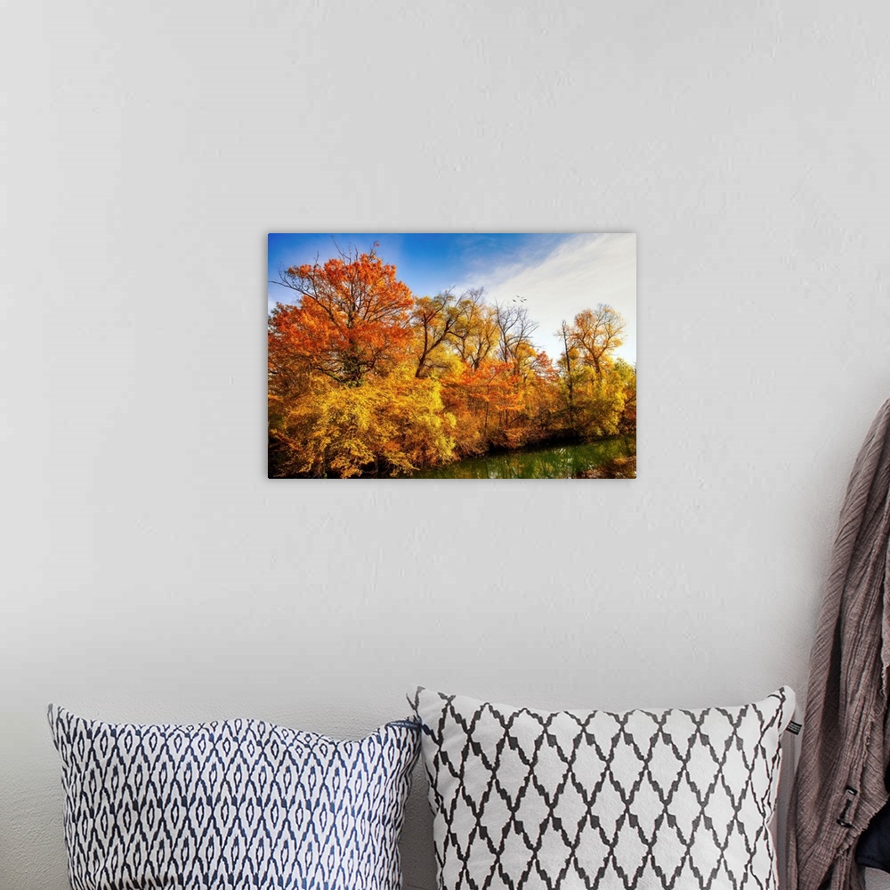 A bohemian room featuring Colorful trees in autumn along a pond