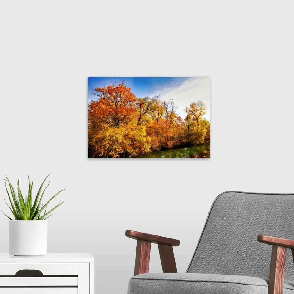 A modern room featuring Colorful trees in autumn along a pond