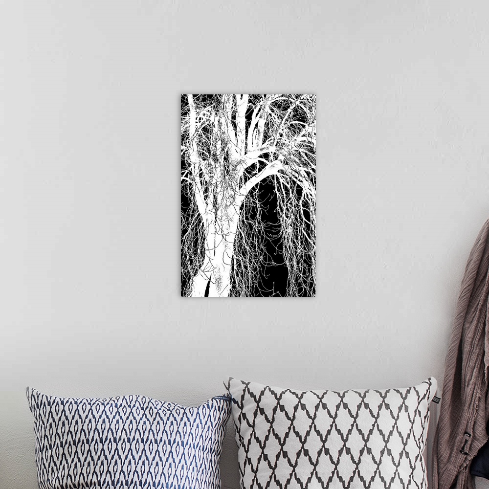 A bohemian room featuring The silhouette of a tree.