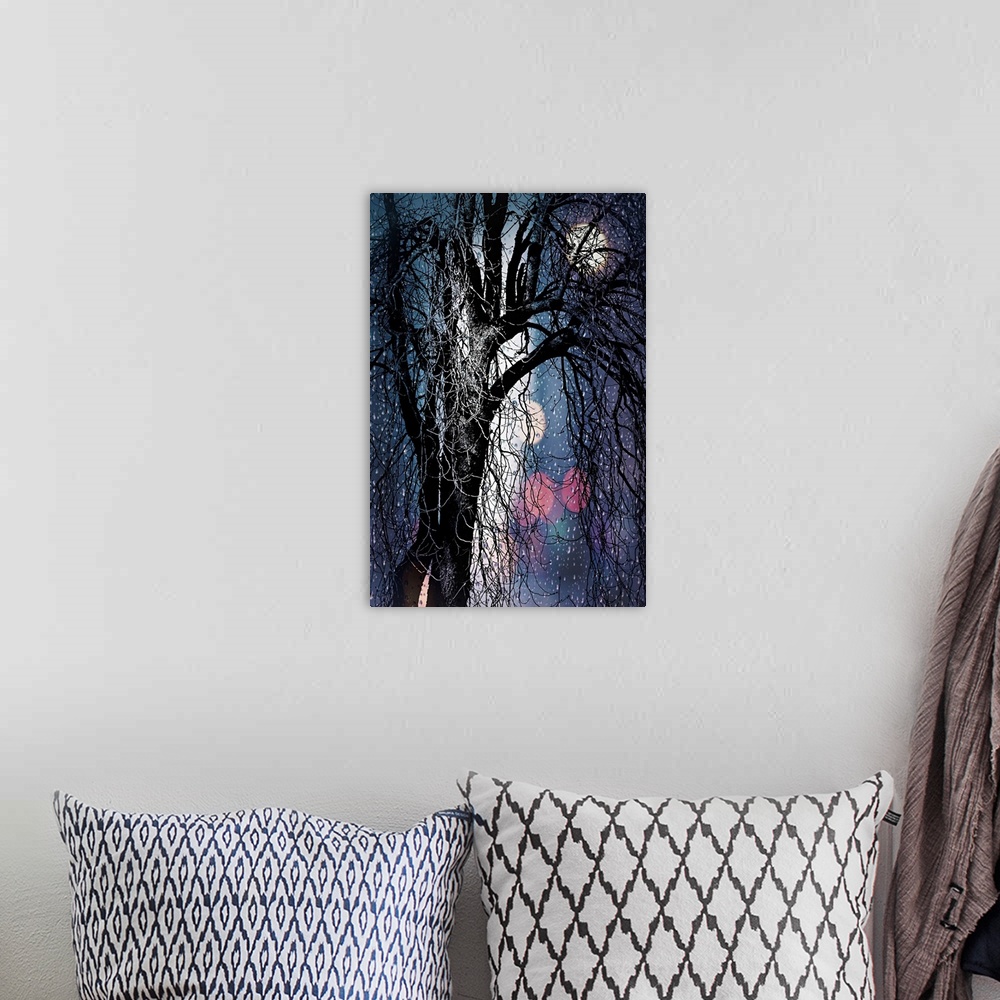 A bohemian room featuring Tree silhouette with ghostly highlights, in the rain.