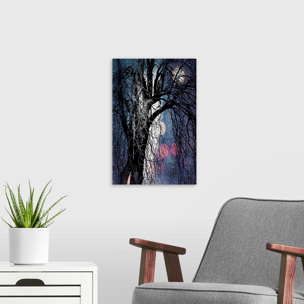 A modern room featuring Tree silhouette with ghostly highlights, in the rain.