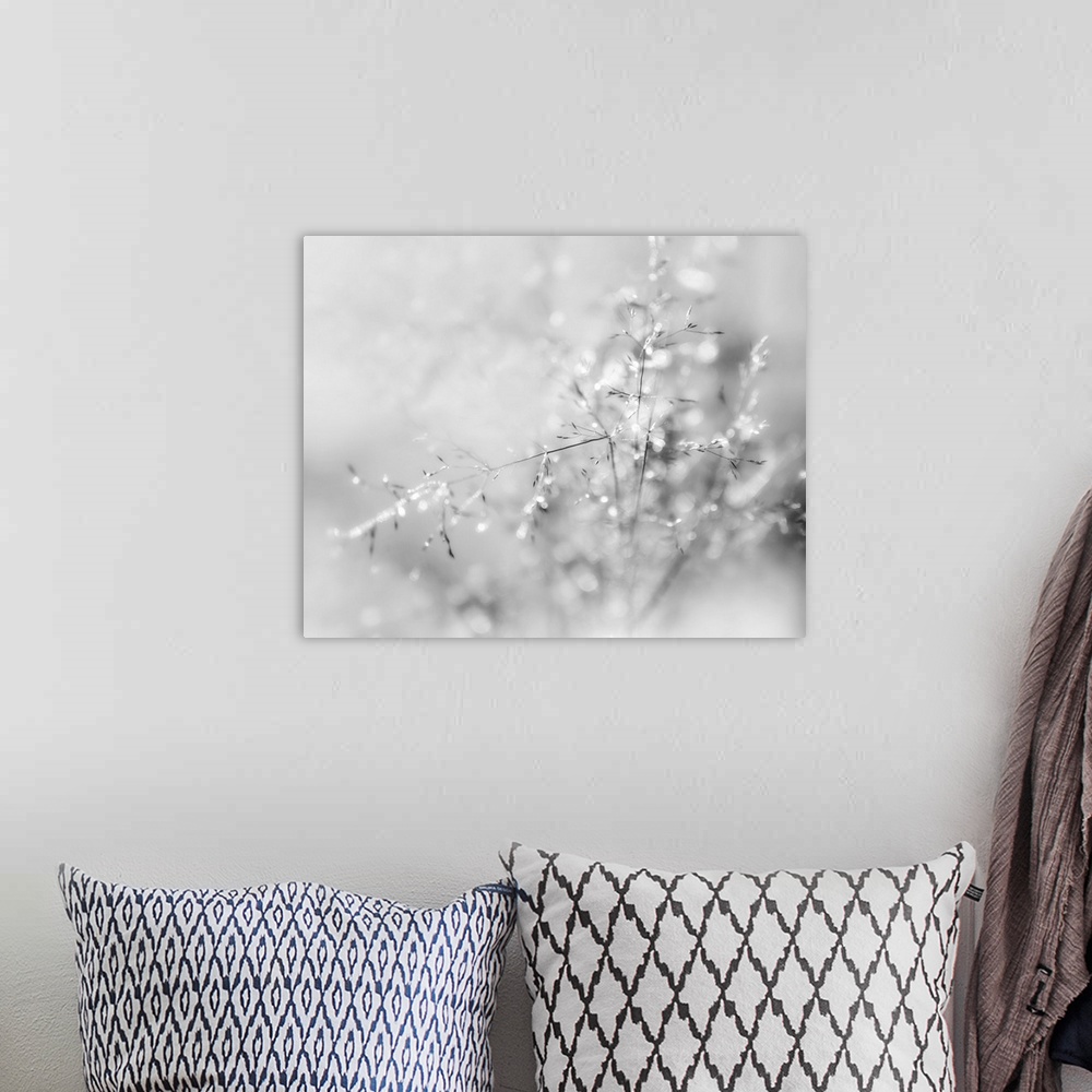 A bohemian room featuring A black and white macro photograph of thin floral stalks.