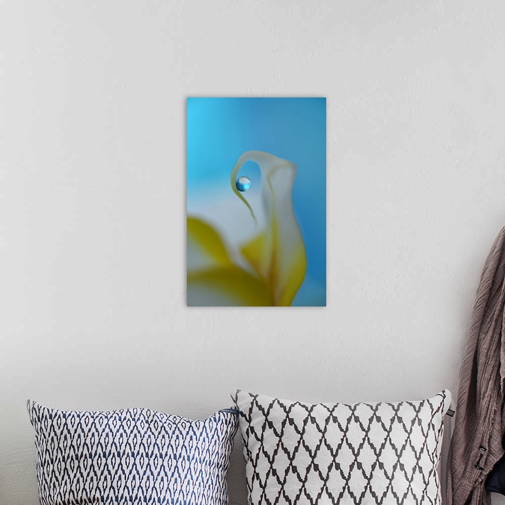 A bohemian room featuring A macro photograph of a yellow and white flower with a focus on a water droplet hanging from one ...