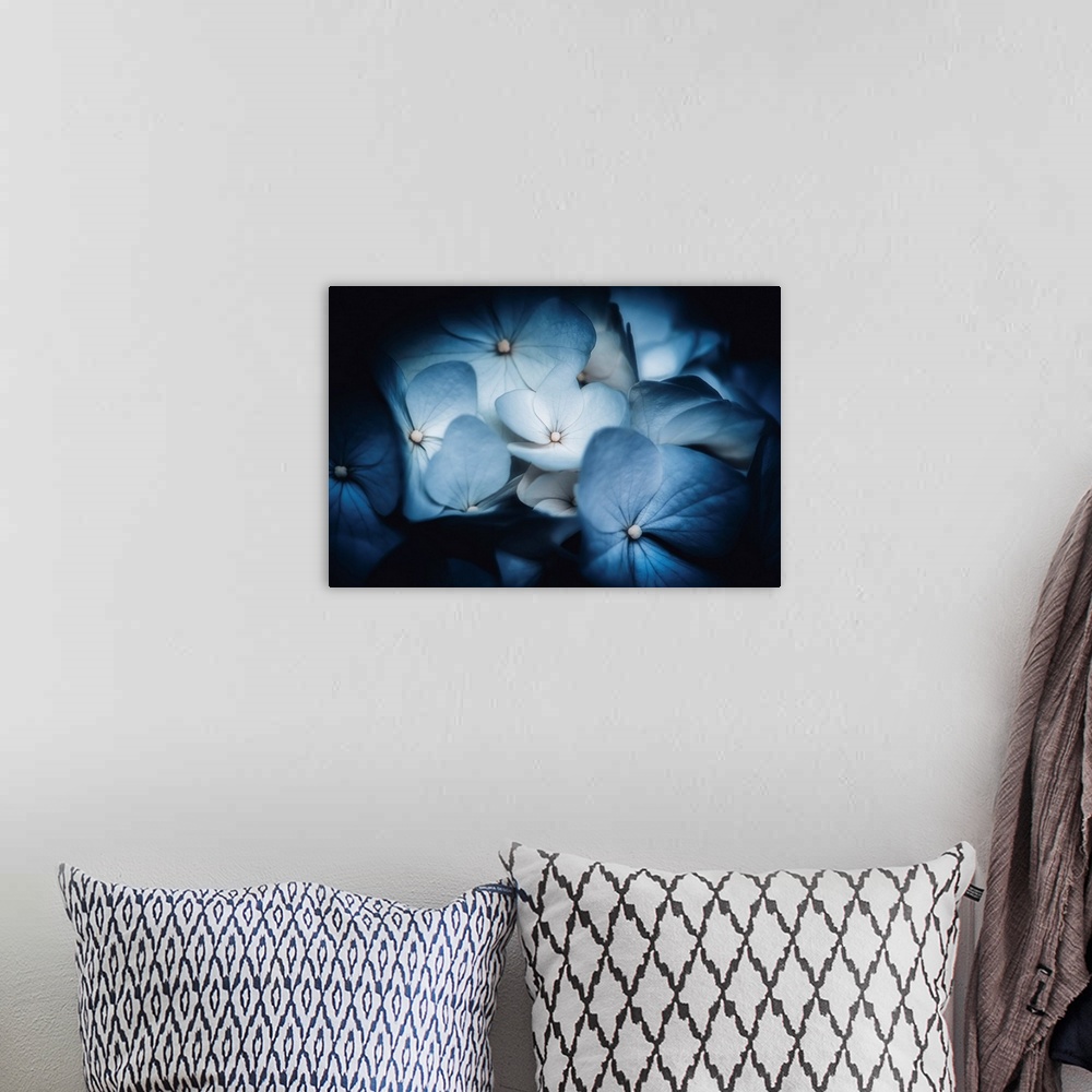 A bohemian room featuring Soft light on blue Hydrangeas
