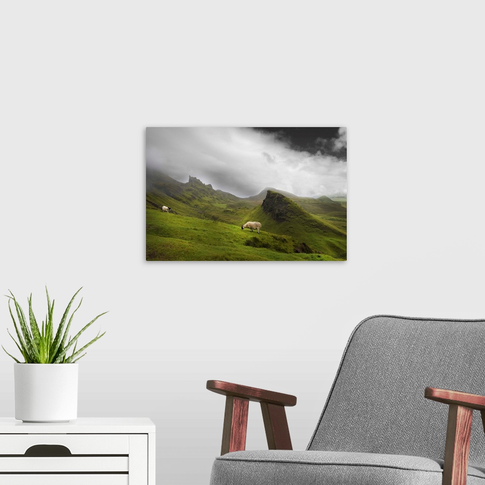 A modern room featuring Fine art photo of a misty valley full of large rocky outcroppings with two grazing sheep.