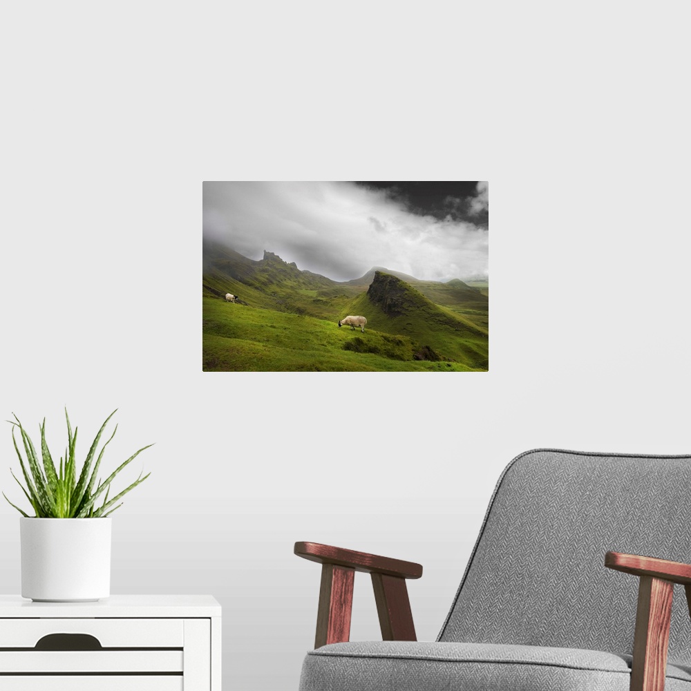 A modern room featuring Fine art photo of a misty valley full of large rocky outcroppings with two grazing sheep.