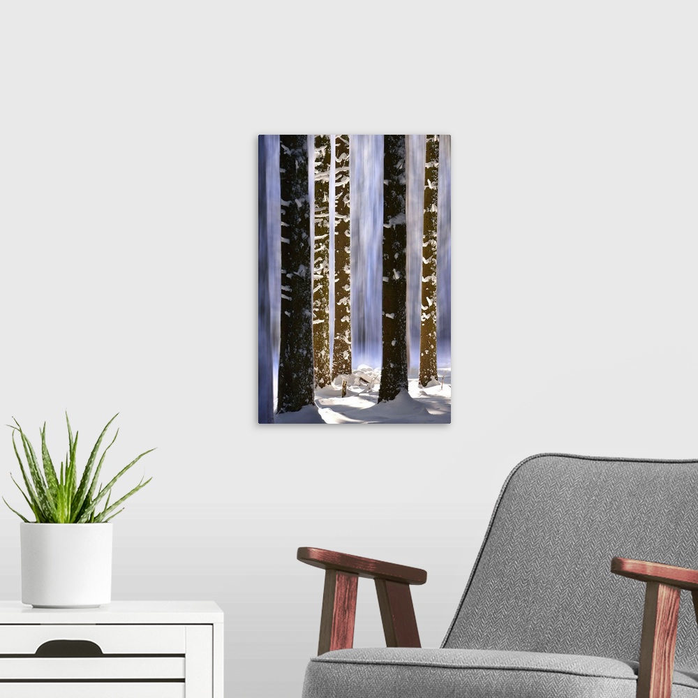 A modern room featuring Blur effect on trees in the forest