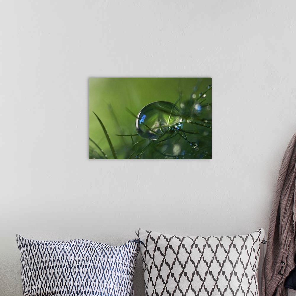 A bohemian room featuring A macro photograph of a water droplet sitting on a blades of grass.