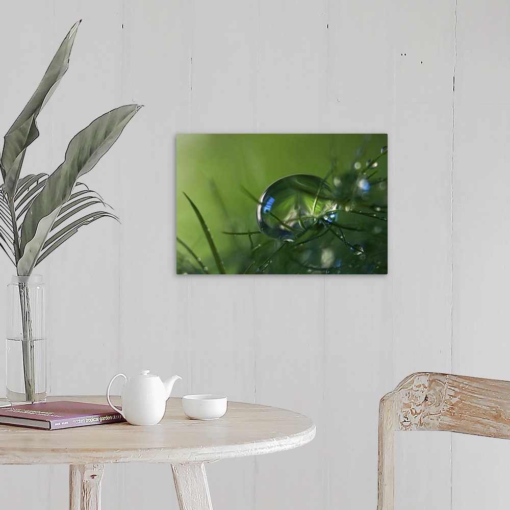 A farmhouse room featuring A macro photograph of a water droplet sitting on a blades of grass.