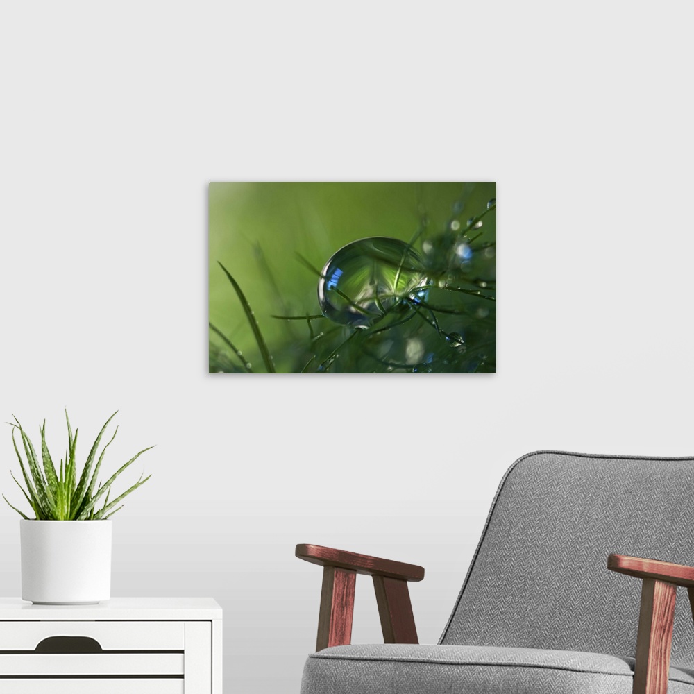 A modern room featuring A macro photograph of a water droplet sitting on a blades of grass.
