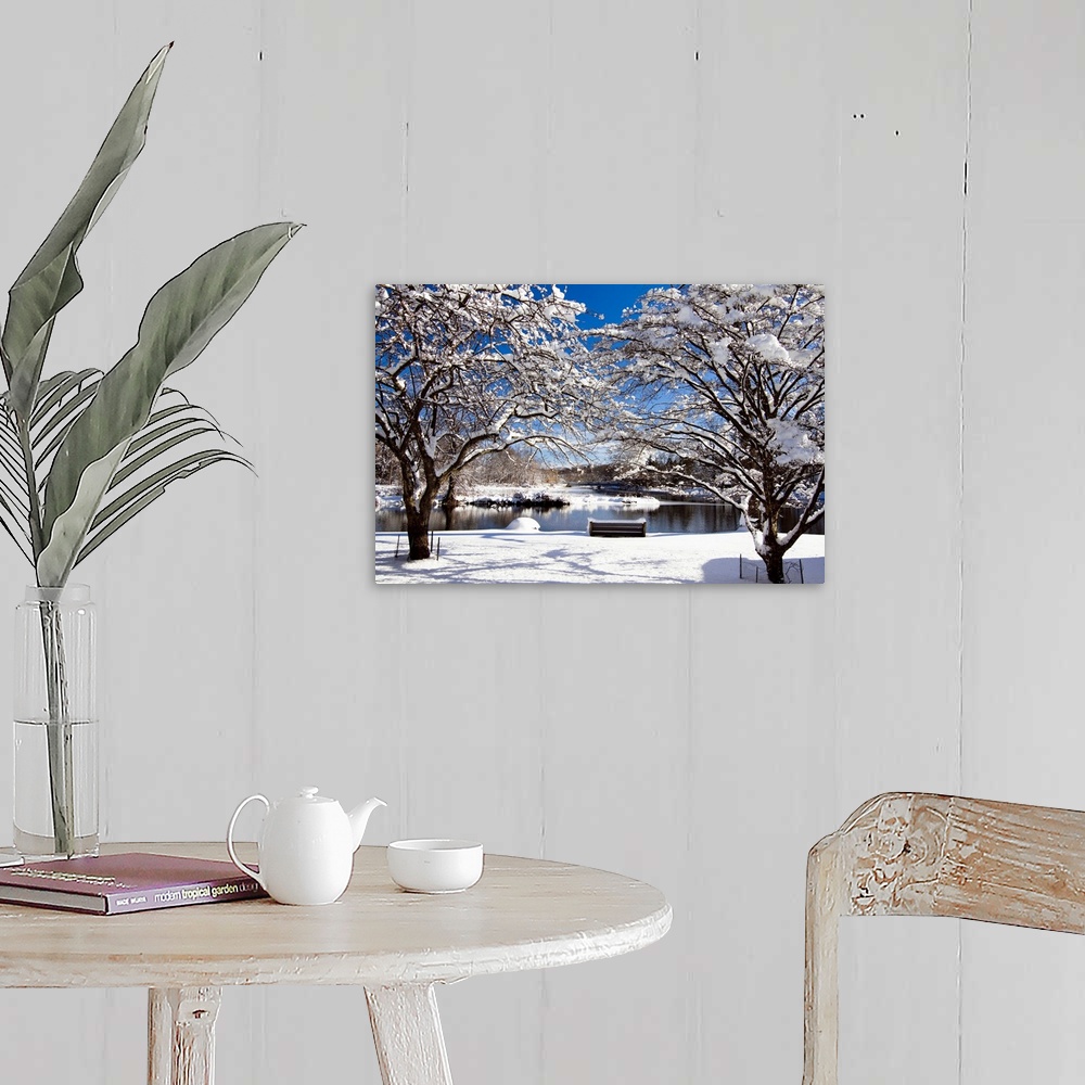 A farmhouse room featuring Snow Covered Trees, Winter Scenic, South Branch of Raritan River, Clinton, New Jersey