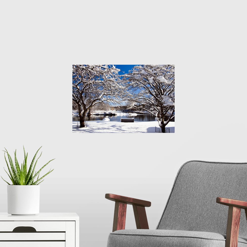 A modern room featuring Snow Covered Trees, Winter Scenic, South Branch of Raritan River, Clinton, New Jersey