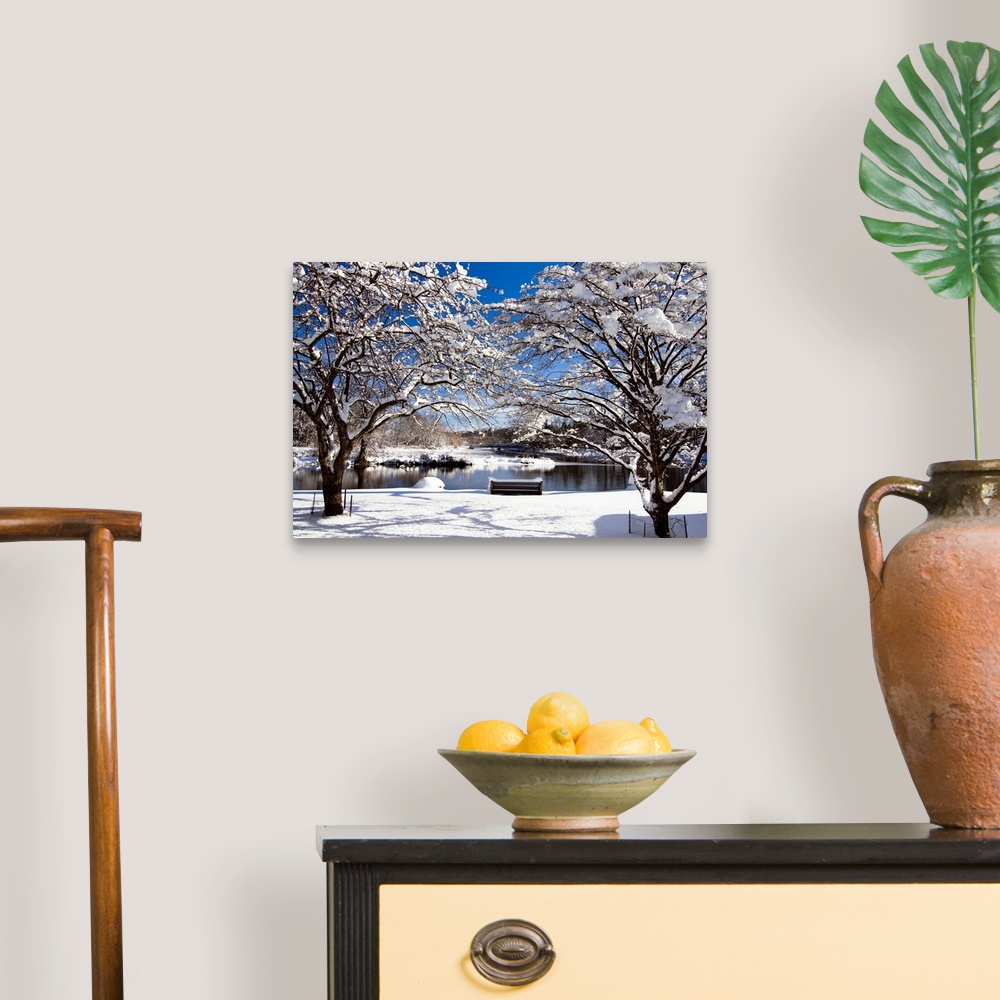 A traditional room featuring Snow Covered Trees, Winter Scenic, South Branch of Raritan River, Clinton, New Jersey