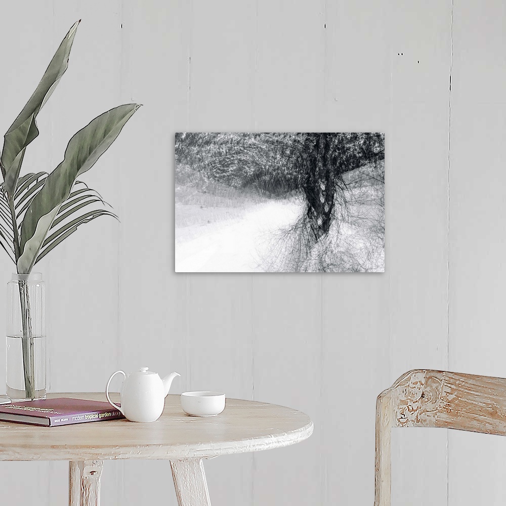 A farmhouse room featuring An abstract photograph of a tree in black and white.