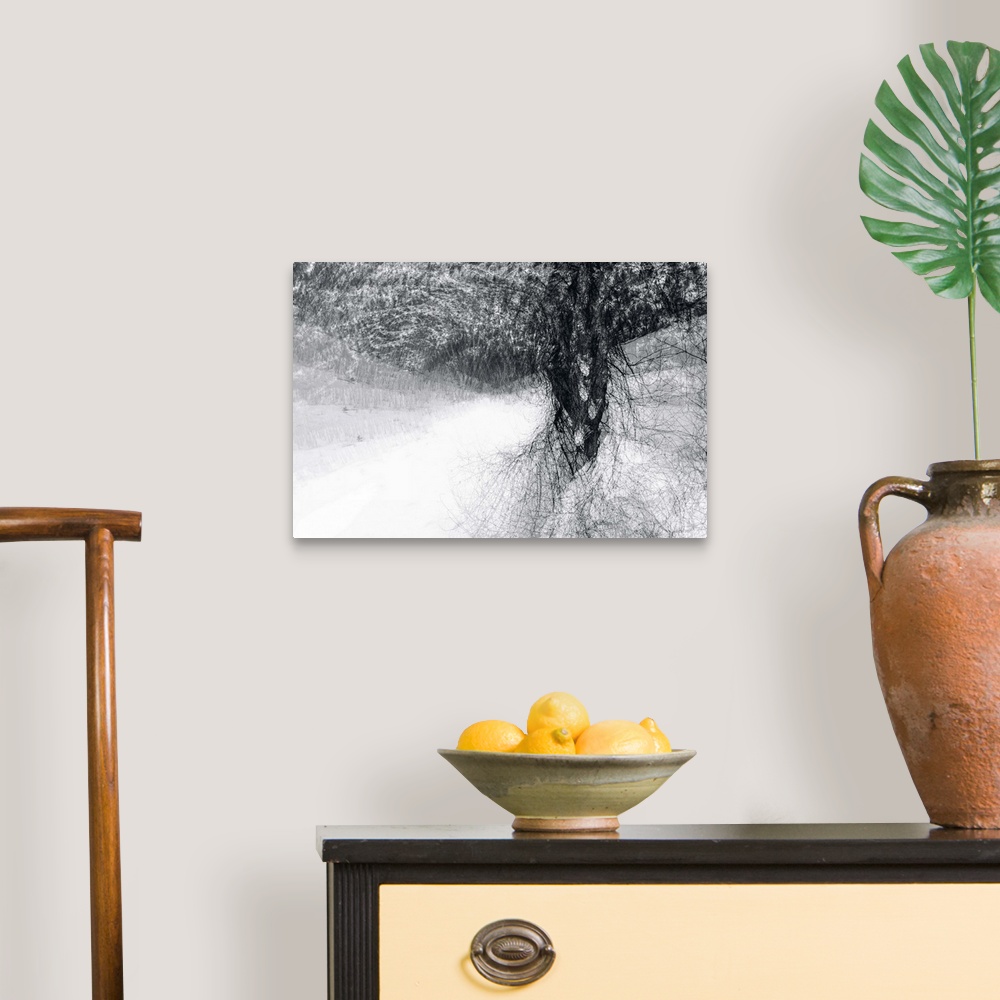 A traditional room featuring An abstract photograph of a tree in black and white.
