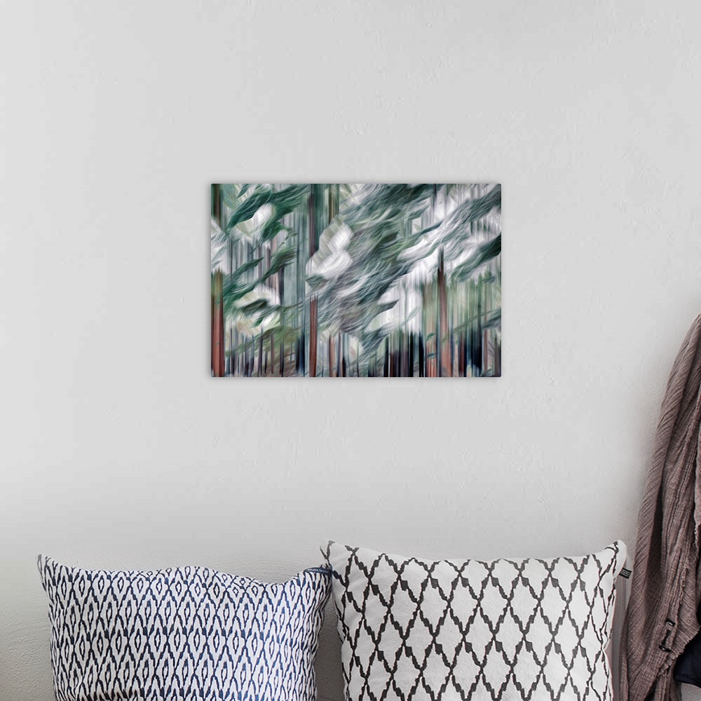 A bohemian room featuring Abstract image of a group of tall cedars on a snowy day in the mountains of British Columbia, Can...