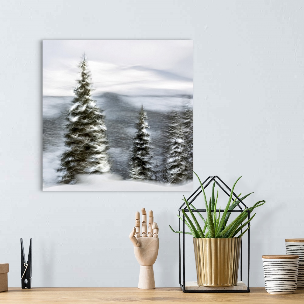 A bohemian room featuring Snowy Trees I