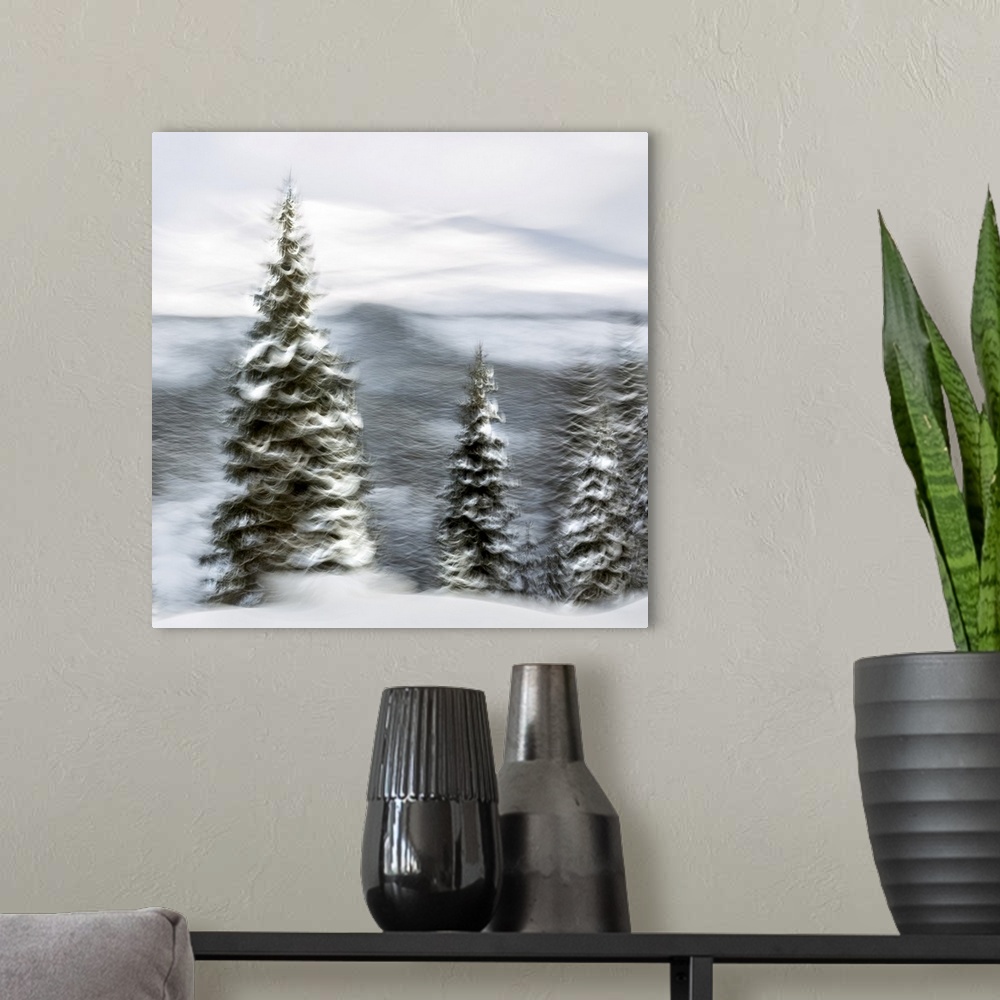 A modern room featuring Snowy Trees I