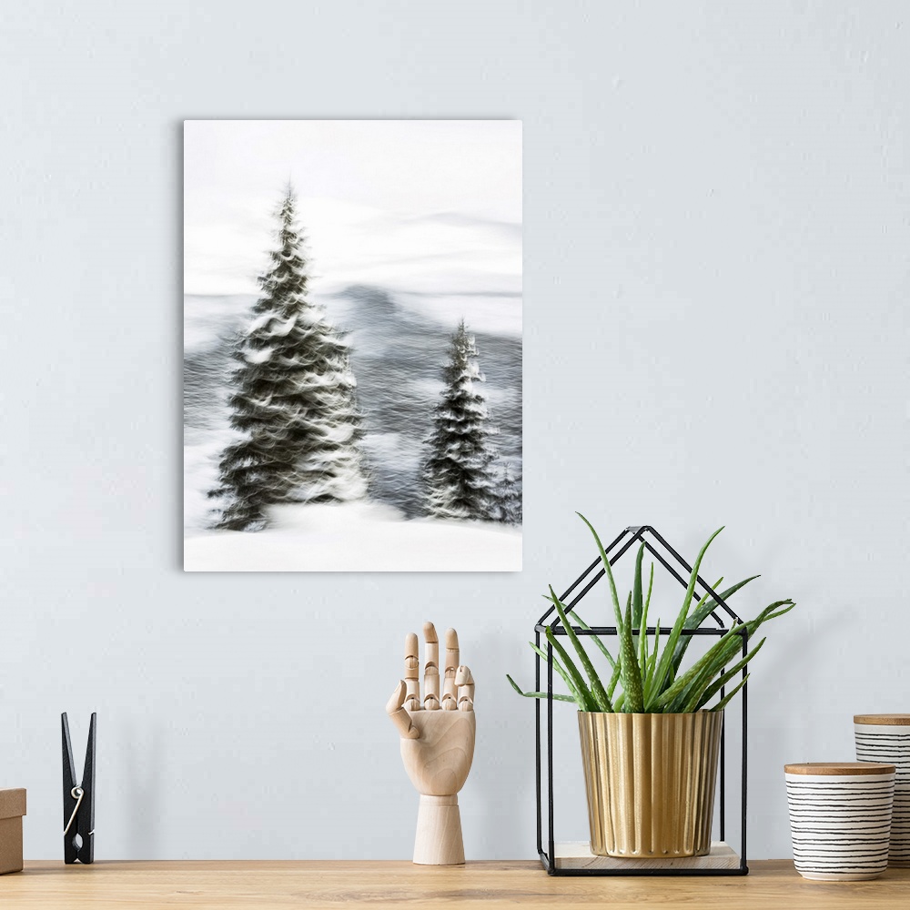 A bohemian room featuring Snowy Trees III