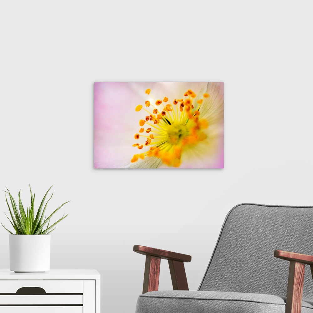 A modern room featuring Big wall docor of the center of a flower brought up close.